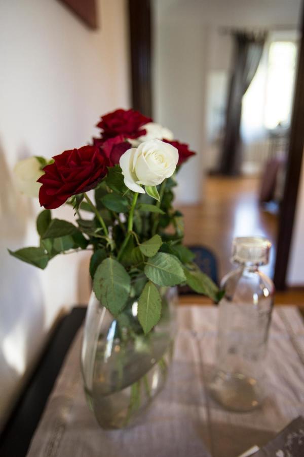 B&B Casa Fefe' Mondovì Esterno foto
